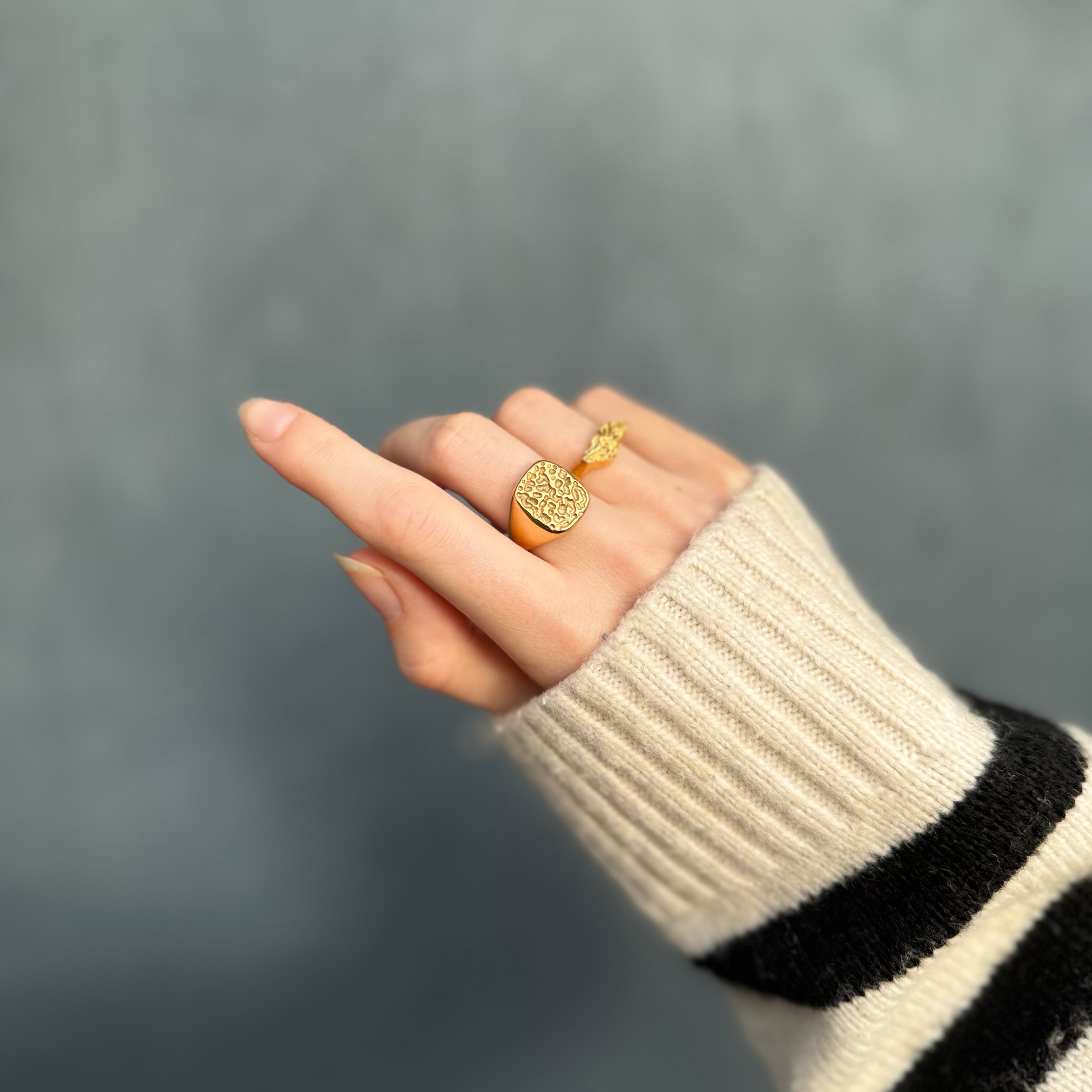 Hamrat set: 1 halsband och 1 ring